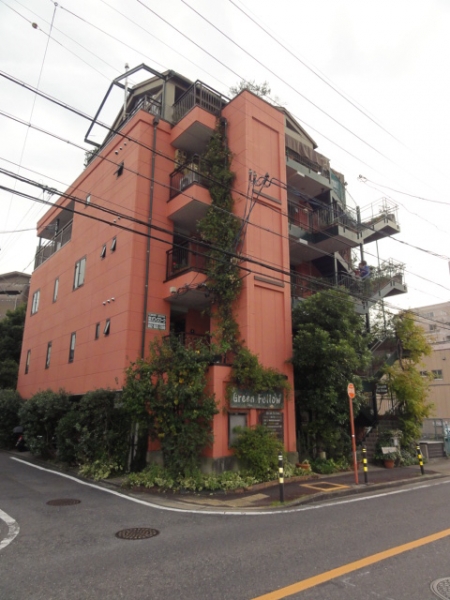 グリーンフェロー