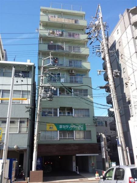 エステイタスＮ－１